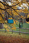 arbre_02